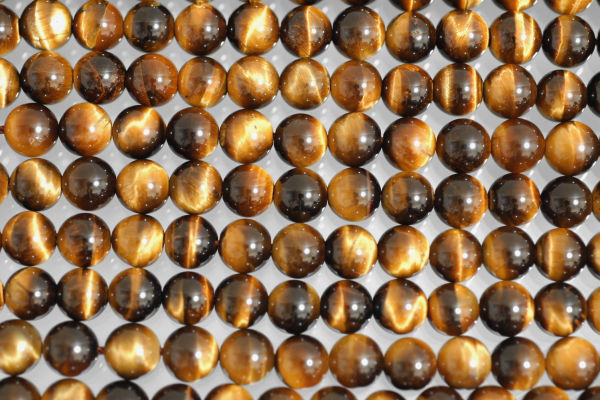 �V�R�΃r�[�Y�̃^�C�K�[�A�CA�ۋ�8mm