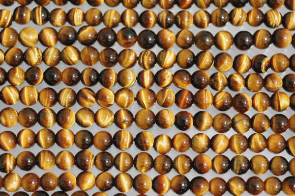 �V�R�΃r�[�Y�̃^�C�K�[�A�CA�ۋ�6mm