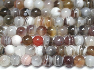 �V�R�΃r�[�Y�̃{�c�A�i�A�Q�[�g�ۋ�6mm