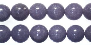 �V�R�΃r�[�Y�̃��s�h���C�gA�ۋ�10mm