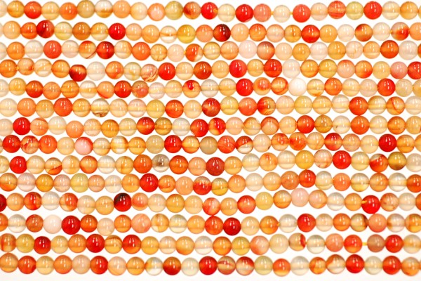 �V�R�΃r�[�Y�̓V�R�J�[�l���A���ۋ�4mm