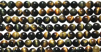 �V�R�΃r�[�Y�̃u���[�C�G���[�^�C�K�[�A�CA�ۋ�4mm