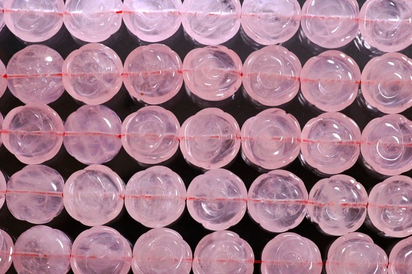�V�R�΃r�[�Y�̃��[�Y�N�I�[�c�E�΂�16(1)16x6-7mm