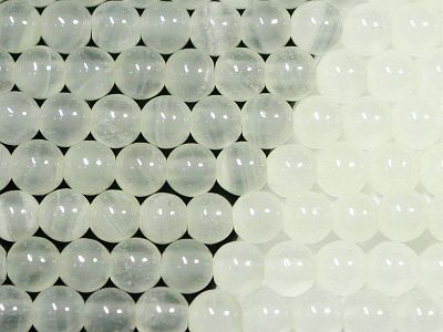�V�R�΃r�[�Y�̃z���C�g�N�I�[�c�ȓ���ۋ�4mm