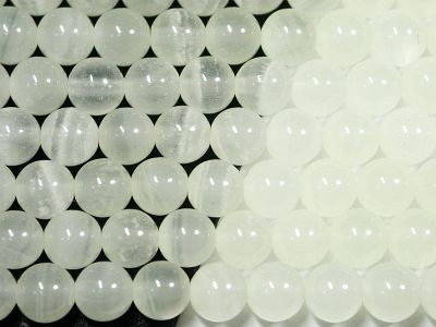�V�R�΃r�[�Y�̃z���C�g�N�I�[�c�ȓ���ۋ�6mm
