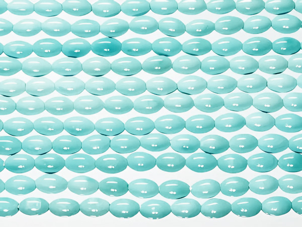 �V�R�΃r�[�Y�̃A���]�i�^�[�R�C�Y�E���C�X4-6mm