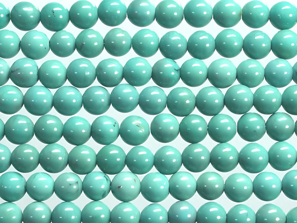 �V�R�΃r�[�Y�̃^�[�R�C�Y(����)A�ۋ�4mm