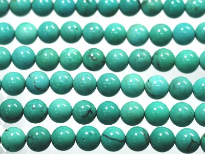 �V�R�΃r�[�Y�̃^�[�R�C�Y(����)A�ۋ�6mm