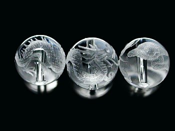 �V�R�΃r�[�Y�̕����l�_�b�����E��12mm