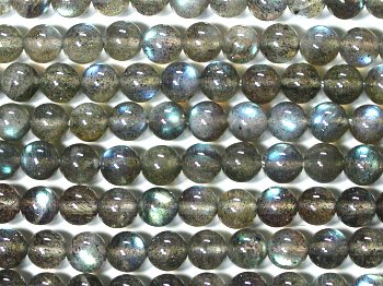 �V�R�΃r�[�Y�̃��u���h���C�g3A�ۋ�6mm