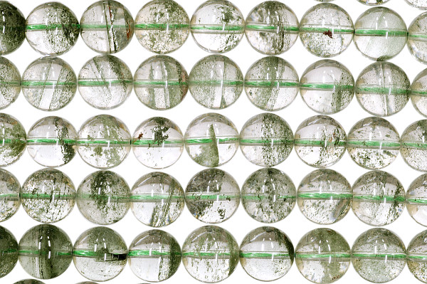 �V�R�΃r�[�Y�̃K�[�f�������ۋ�12mm