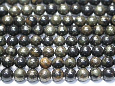 �V�R�΃r�[�Y�̃p�C���C�g�ۋ�6mm