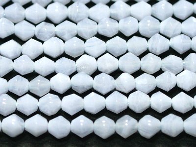 �V�R�΃r�[�Y�̃u���[���[�XA�H�`�X����