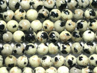 �V�R�΃r�[�Y�̃_�����V�A���W���X�p�[�ۋ�3mm