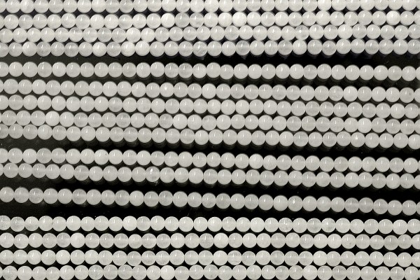 �V�R�΃r�[�Y�̃X�m�[�N�I�[�c�ۋ�3mm