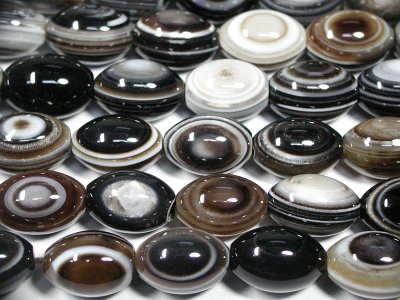�V�R�΃r�[�Y�̓V��΃I�[�o���^(��)13x18mm