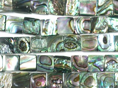 �V�R�΃r�[�Y�̃V�F������сE���p�^8x8mm