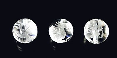 �V�R�΃r�[�Y�̕����l�_�b�����E���T