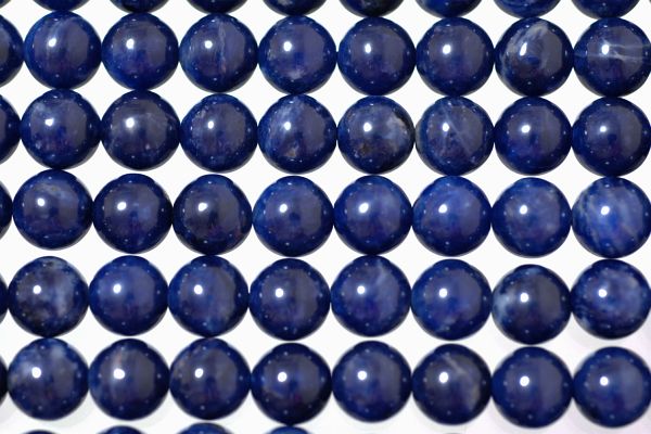 �V�R�΃r�[�Y�̃\�[�_���C�g�ۋ�(TopGrade)