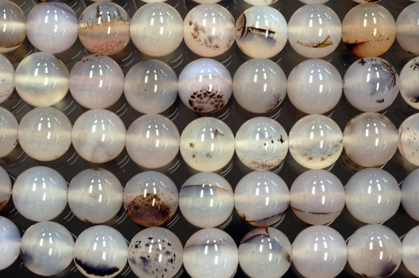 �V�R�΃r�[�Y�̃f���h���C�gA�ۋ�(2)12mm