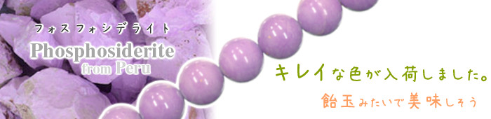 �t�H�X�t�H�V�f���C�g�V�R�΃r�[�Y